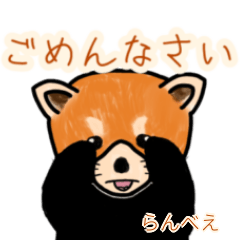 Ranbee's lesser panda