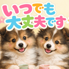 とびだす★シェルティー♡きづかい