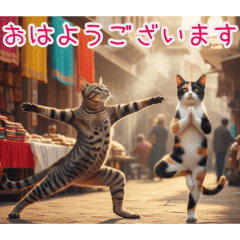 PAKAMOGOLY_20260219124126