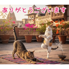 PAKAMOGOLY_20260219124040