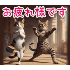 PAKAMOGOLY_20260219124543