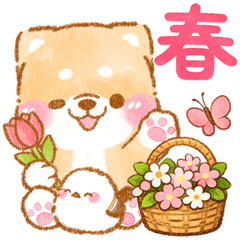 シマエナガといやしばいぬ❤️春/柴犬敬語