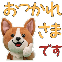 動く敬語バセンジー12