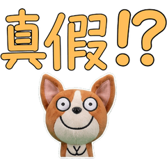 Animated Taiwan Basenji 34
