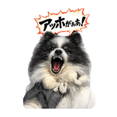 Rain.Grain_20260219115625