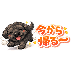 Alice_20260219121939