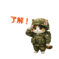 masa_cat