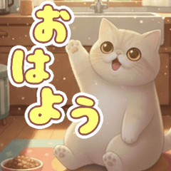 Exotic cat's real cute greeting