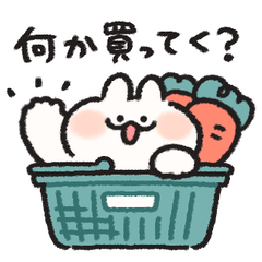 rabbit sometimes carrot for couple