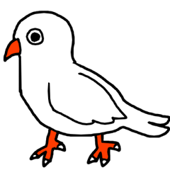 White Dove emotion
