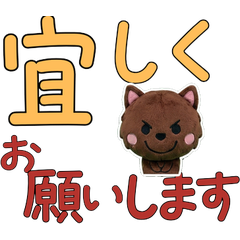 Animated Polite Havana 12