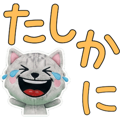 Animated Plush Burmilla 10