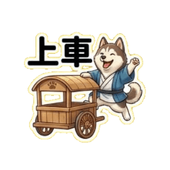 哈士奇的哈哈日常