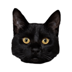 nasubi_20260216174140