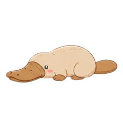 hiraiiitoko_20260216184224