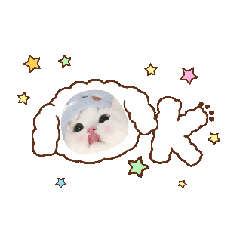 我的可愛特製貼圖