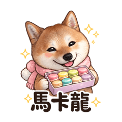 五花的一切都是馬