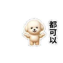 比熊的可愛日常