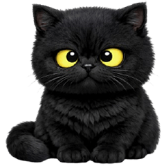 pitch-black cat, troublemaker (No Text)