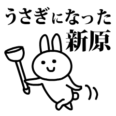 うさぎになった新原