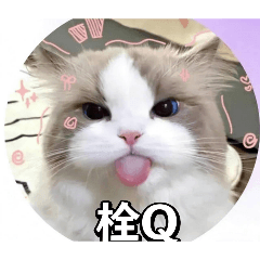 Q貓咪-麟