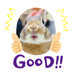 兔兔湯圓貼圖1-1