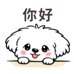 毛茸茸白色小狗・每日用語