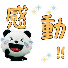 Taiwanese Black Panda 33