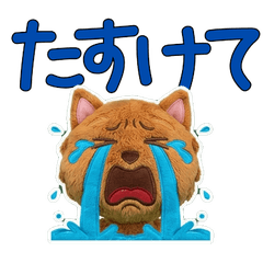 ぬいぐるみノーフォーク9