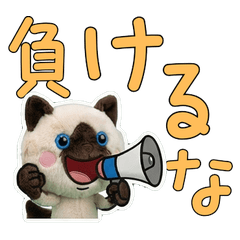 ぬいぐるみバリニーズ9