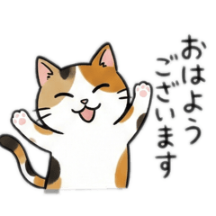 Cat lovers daily words