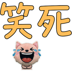 Animated Taiwan Bambino 34