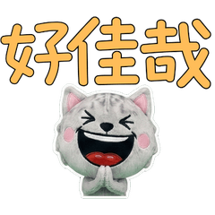 Animated Taiwan Burmilla 34