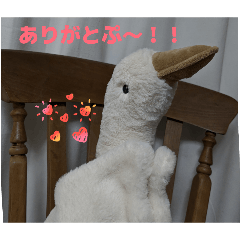 poohchan_20260216190543