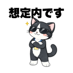 MAYUMI.I_20260219151656