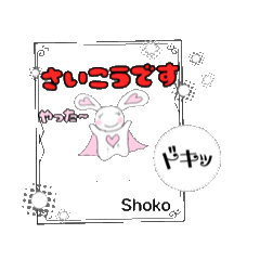 nikorin_20260219221942