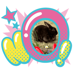 mamamiho_20260220000350