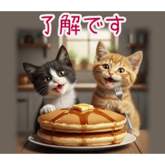 PAKAMOGOLY_20260220000858