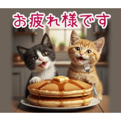 PAKAMOGOLY_20260220001130