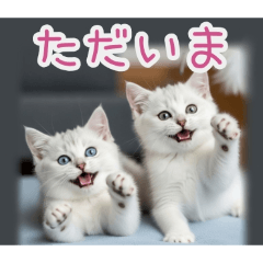 PAKAMOGOLY_20260220001433