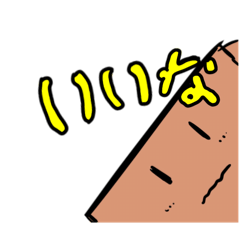 meedayo_20260219192431