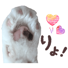 yuuringo_20260219224621