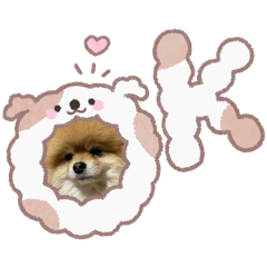 YURIKA_20260219232655