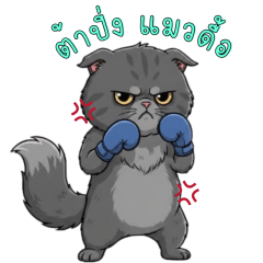 ต้าปิ่งแมวดื้อ