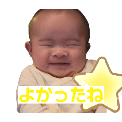 shii_20260219200404
