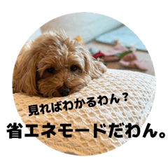 Asuka_20260219200817