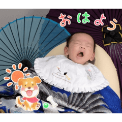 mumu_20260219200347
