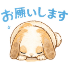 cat mimi_20260219211931