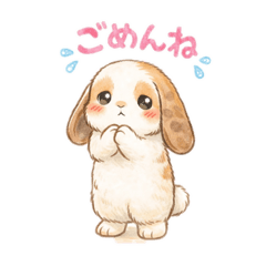 cat mimi_20260220024635