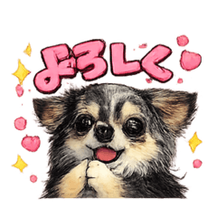 NICOLE_20260220101514